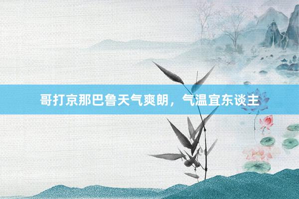 哥打京那巴鲁天气爽朗，气温宜东谈主