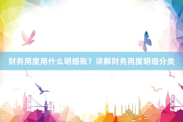 财务用度用什么明细账？详解财务用度明细分类