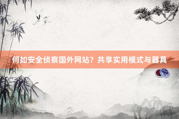 何如安全侦察国外网站？共享实用模式与器具