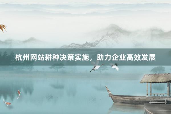 杭州网站耕种决策实施，助力企业高效发展