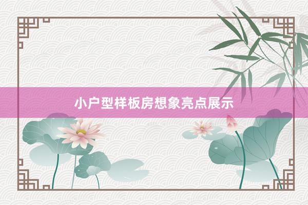 小户型样板房想象亮点展示