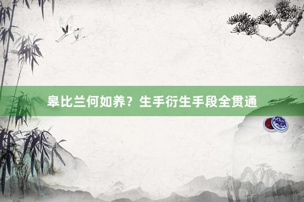 皋比兰何如养？生手衍生手段全贯通