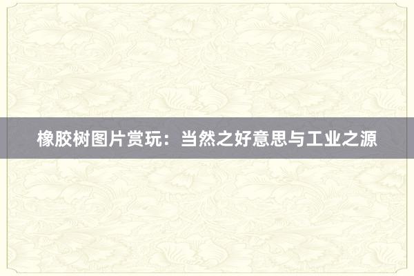 橡胶树图片赏玩：当然之好意思与工业之源